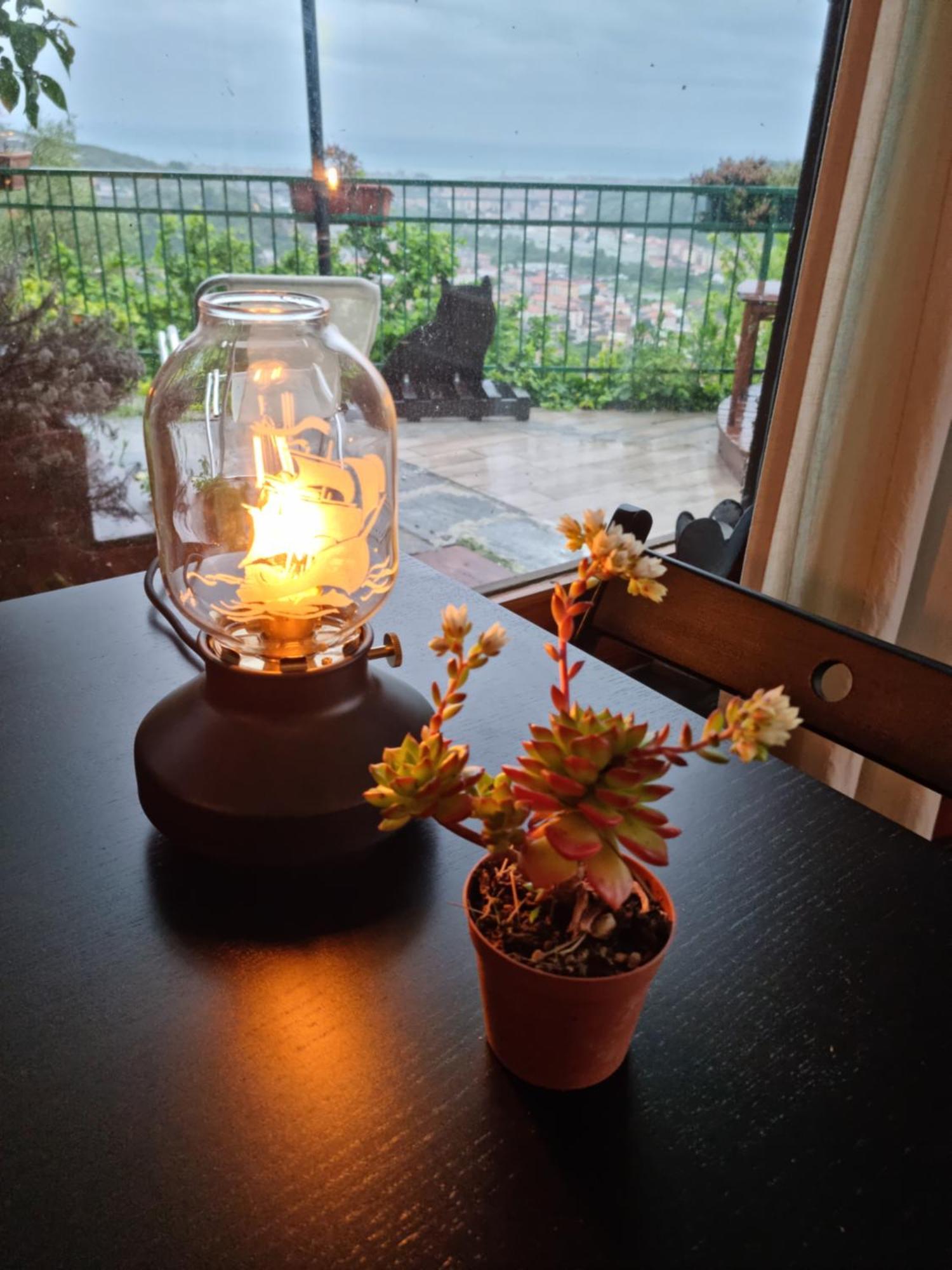 B&B La Terrazza Sui Fieschi Cogorno Экстерьер фото